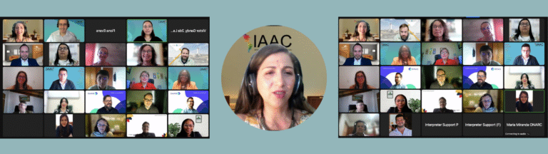 59th IAAC Executive Committee meetings