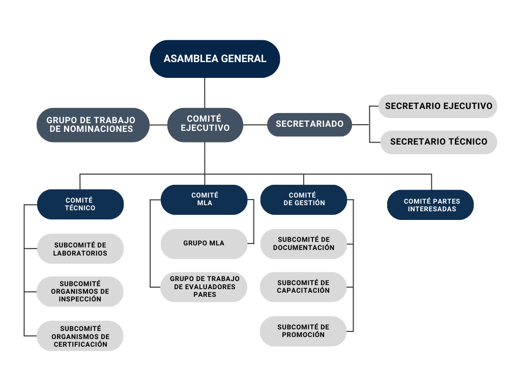 Estructura IAAC español